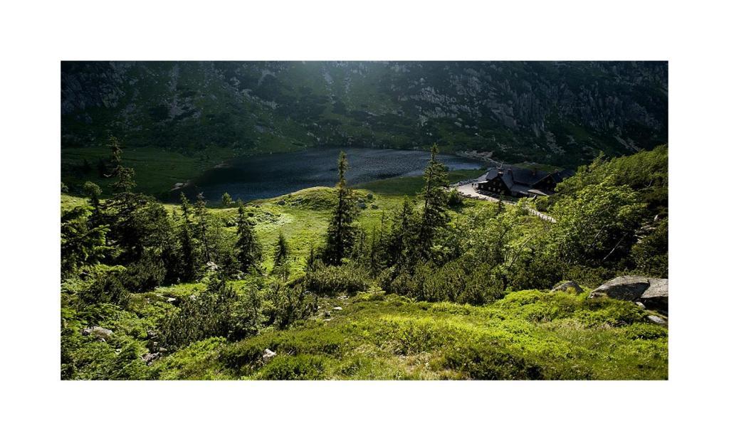 Schronisko Pttk Samotnia Hostel *